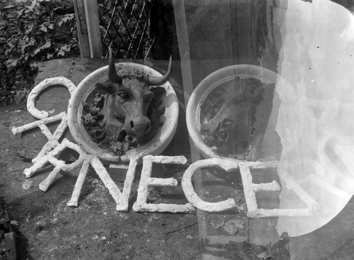 Vista frontal del rètol d'una carnisseria, 1917 (ACGAX. Fons Sadurní Brunet Pi. Autor: Sadurní Brunet)